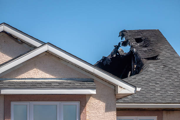 Top rated local Fire Damage Cleanup specialists in Dallas, TX